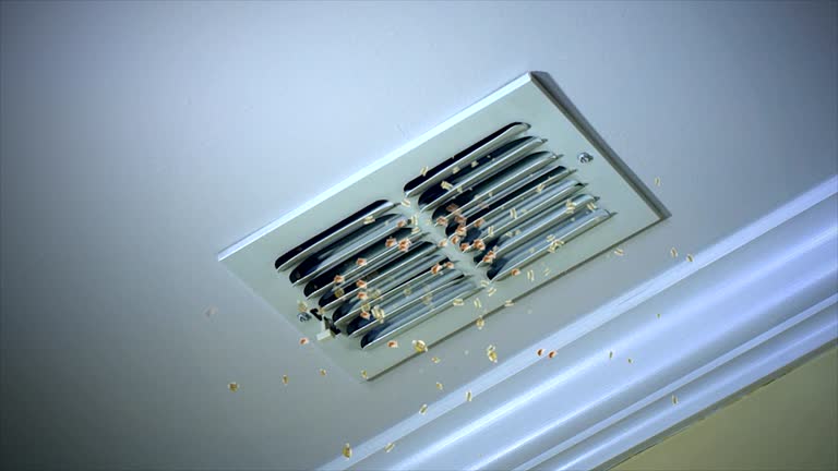 Best Commercial HVAC Duct Cleaning  in White Mountain Lake, AZ