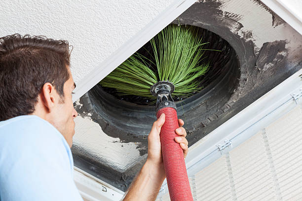 Best Local Air Duct Cleaning Services  in White Mountain Lake, AZ